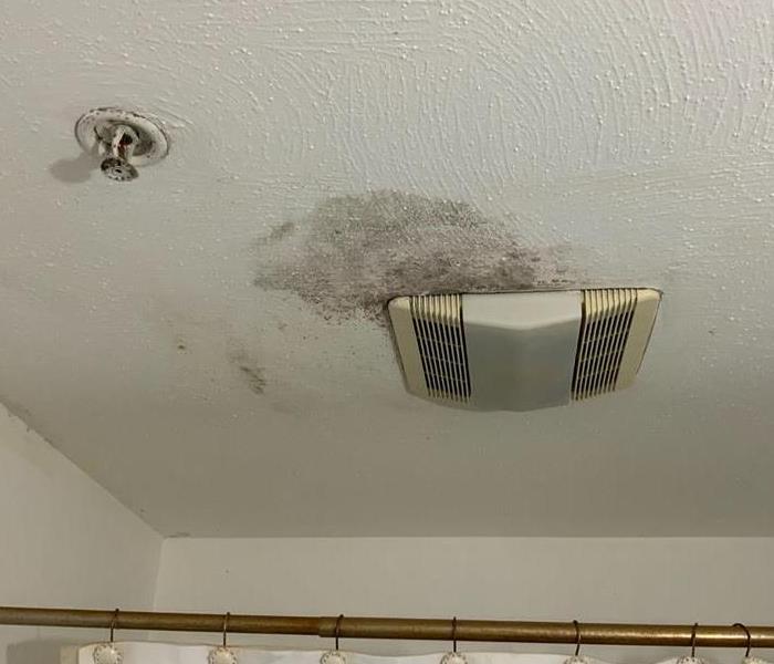 SERVPRO® regularly sees microbial growth living around a bathroom exhaust vent.